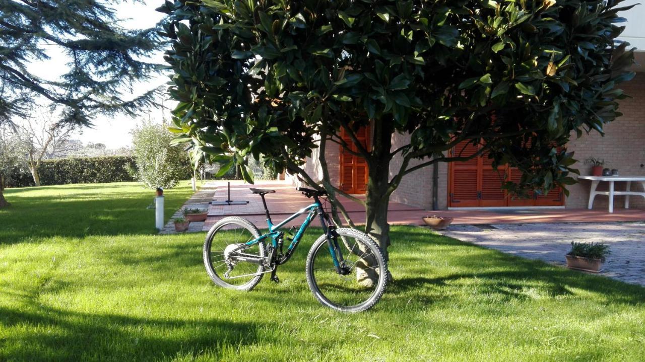 Country House Bike Friendly Famiglia Belleggia Διαμέρισμα Porto SantʼElpidio Εξωτερικό φωτογραφία