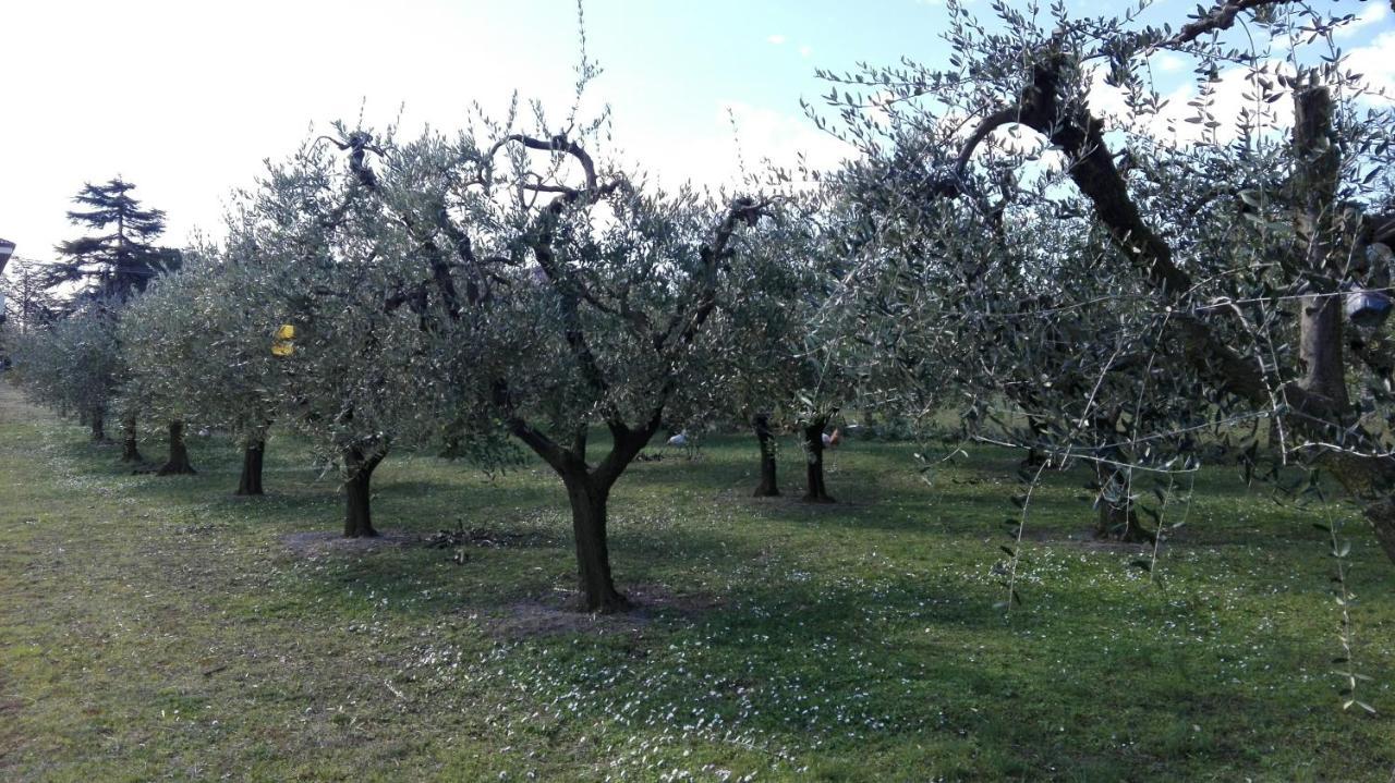 Country House Bike Friendly Famiglia Belleggia Διαμέρισμα Porto SantʼElpidio Εξωτερικό φωτογραφία